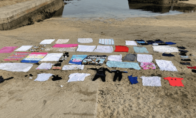 Litter left at beaches during sunny weather repurposed for rescue seals