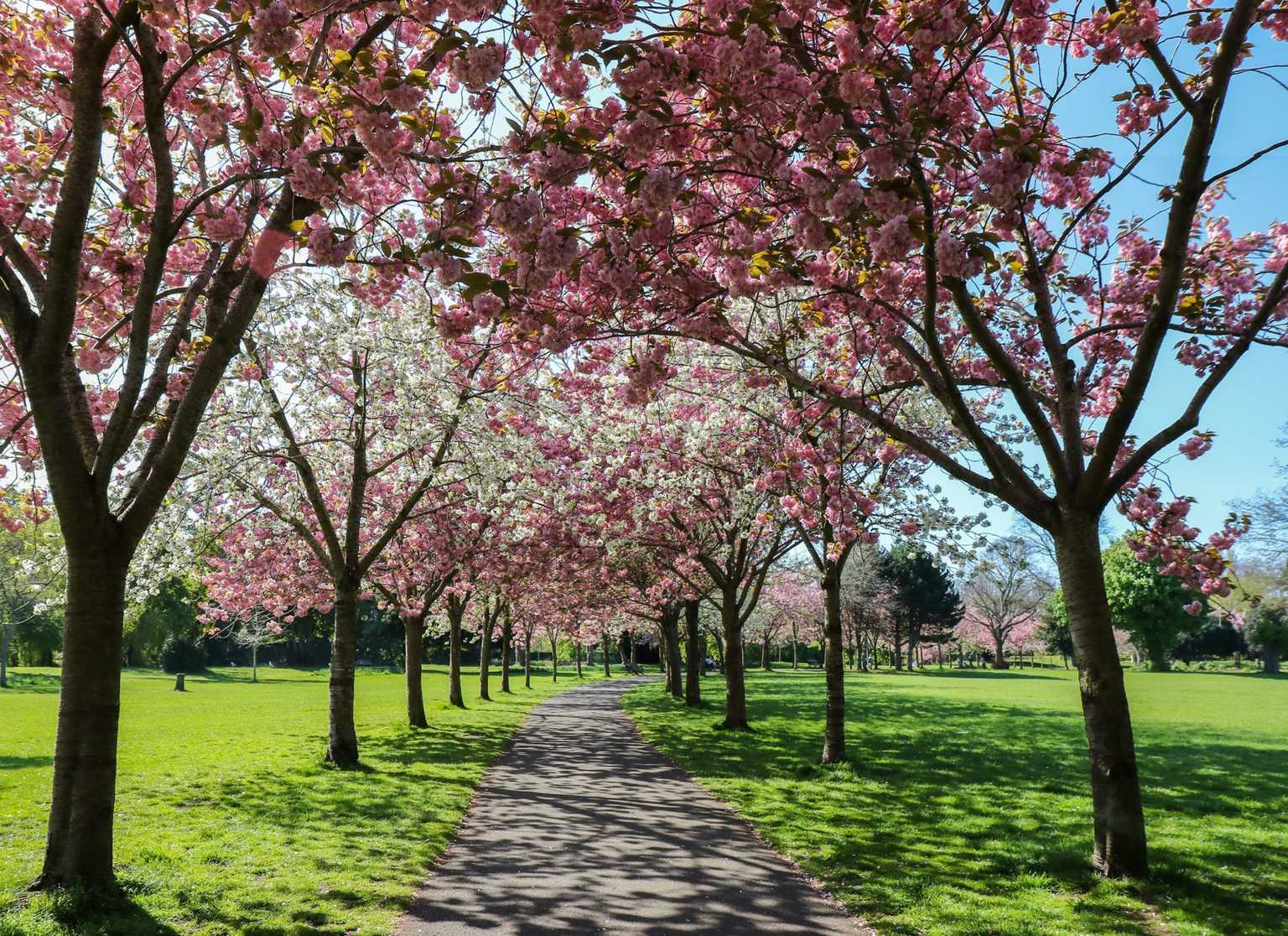 10 of the best spots in Dublin for a weekend picnic