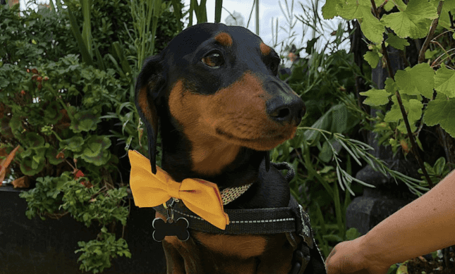 What to do in Dublin this weekend if you’re not at Electric Picnic