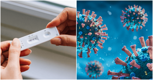 Could we see a new wave of Covid-19 this winter? This free expert-led event has all the answers