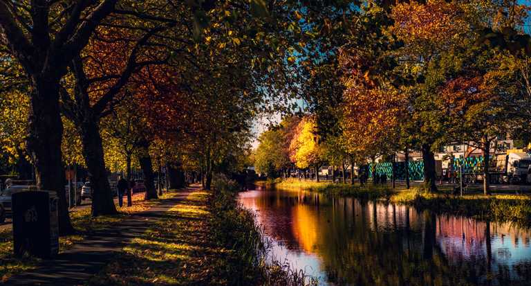 7 scenic walks in Dublin for enjoying the autumn leaves