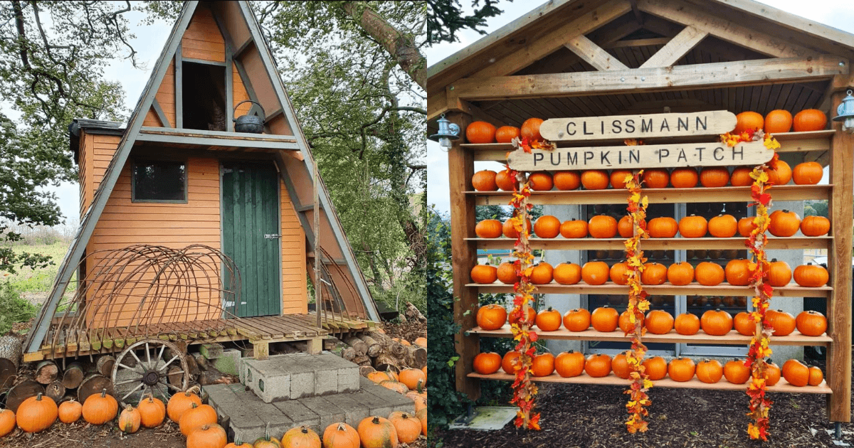 4 pumpkin patches near Dublin to visit this year
