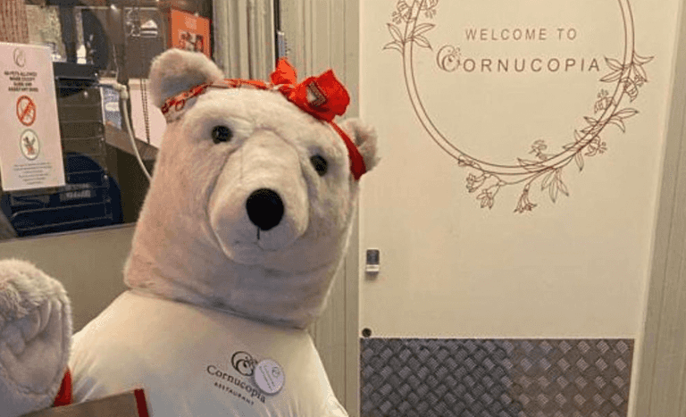 ‘No questions asked’ Cornucopia offer reward for stolen Christmas bear’s safe return