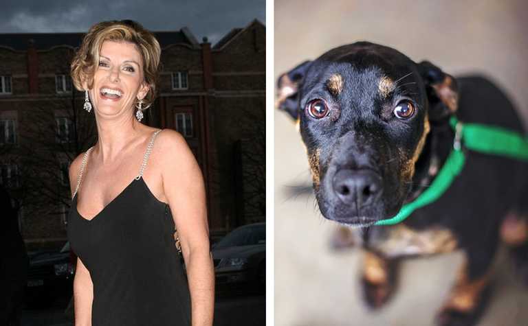 Ian McKellen will open Linda Martin’s new dog shelter in Dublin this month