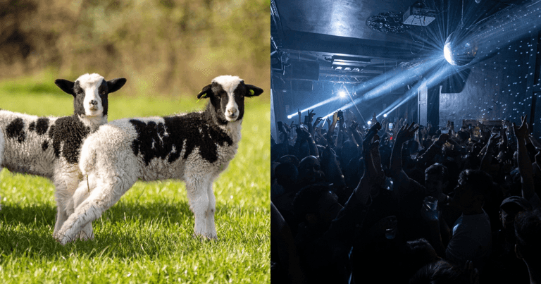 9 events to check out in Dublin over the Easter bank holiday weekend