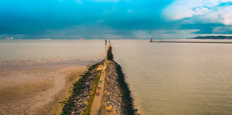 Bull Island to be partially closed off to visitors