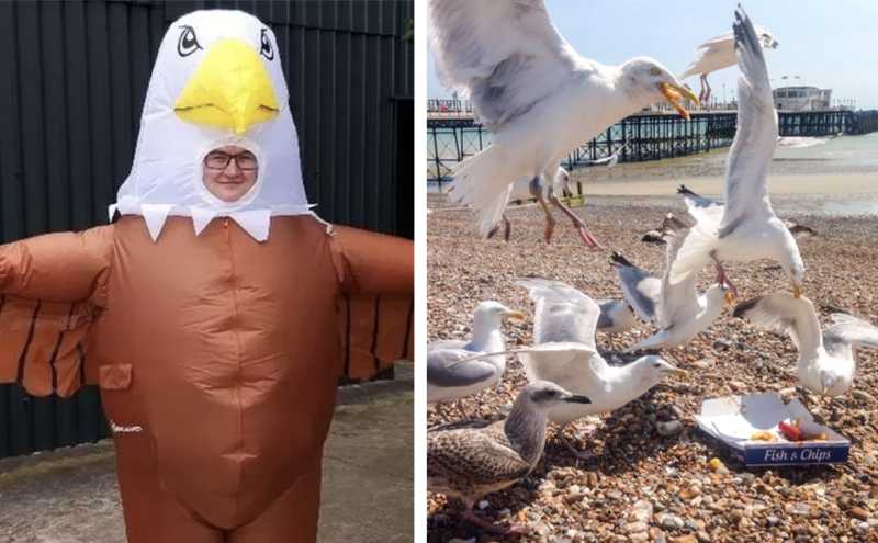 A UK zoo is looking to hire human seagull scarers to keep the birds away