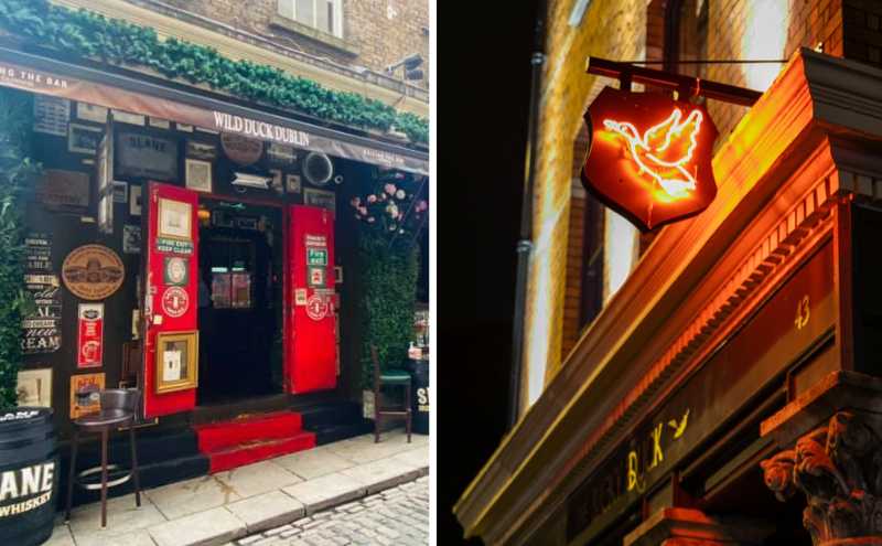 Why are there so many pubs named after ducks and geese in Dublin?