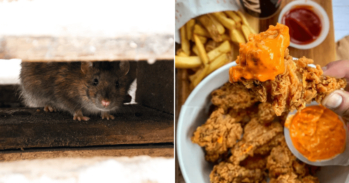 Dublin city KFC branch served closure order due to rodent discovery