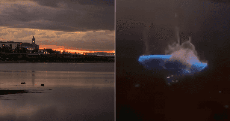 Rare phenomenon bioluminescence has been sighted off Dublin beaches recently