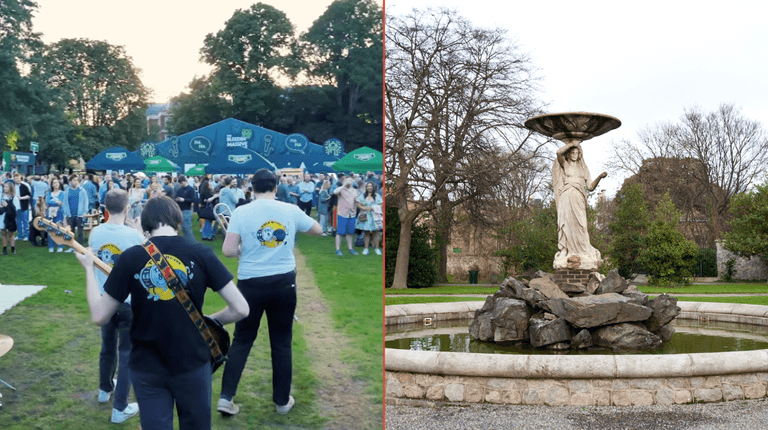 Irish musicians and comics speak out as gigs at Iveagh Gardens come under threat