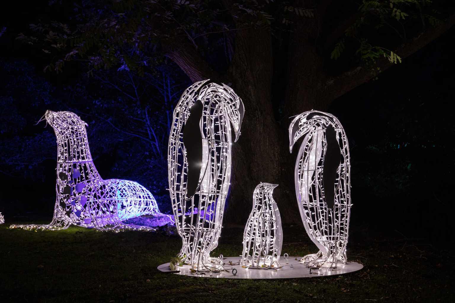Wonderlights Malahide is back for Christmas 2023 with a magical new theme