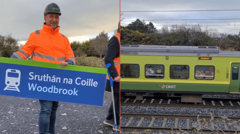 Work gets underway on new DART station between Shankill and Bray
