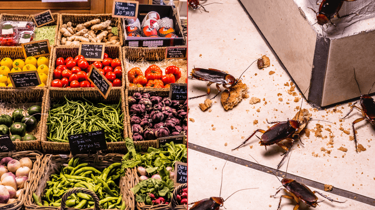 Dublin grocery issued closure order last month due to ‘cockroach infestation’