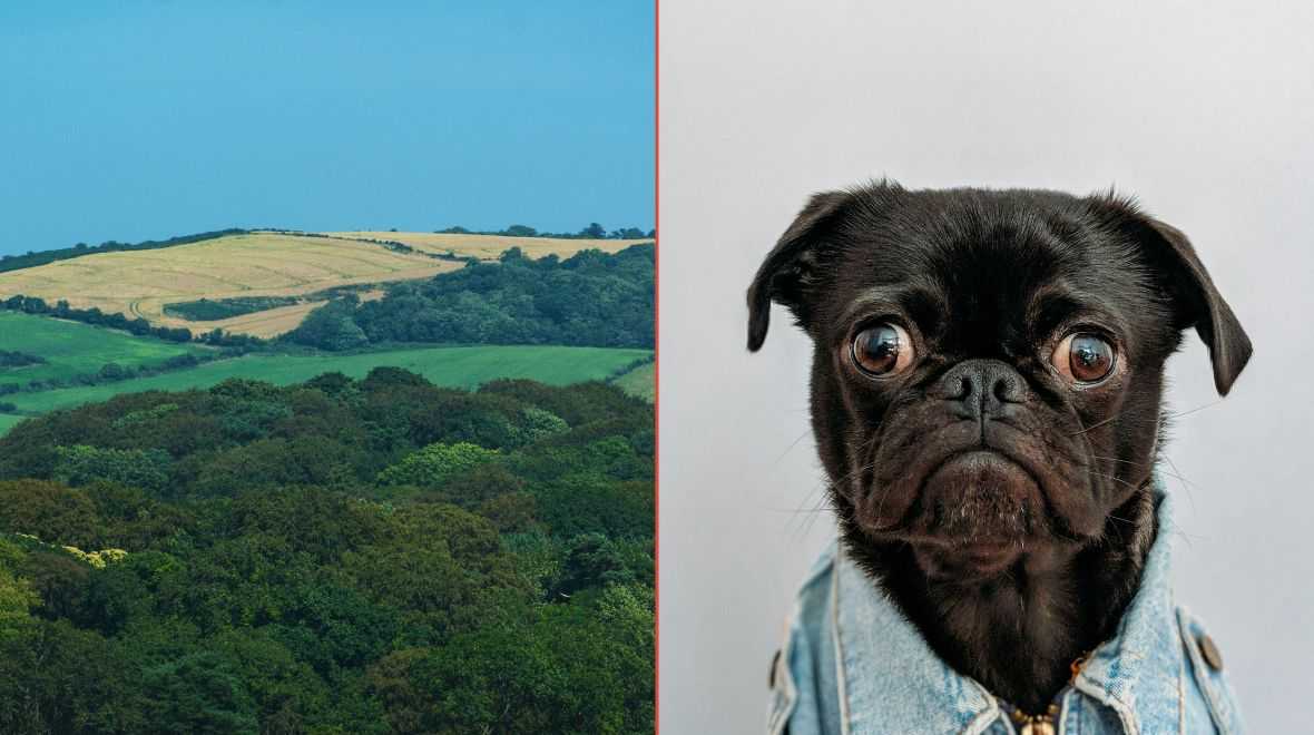 Ye what? Tourists find these 5 Irish towns the hardest to pronounce