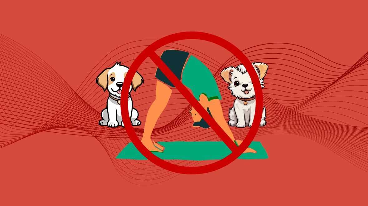 Animal welfare charities urge public not to attend new puppy yoga sessions