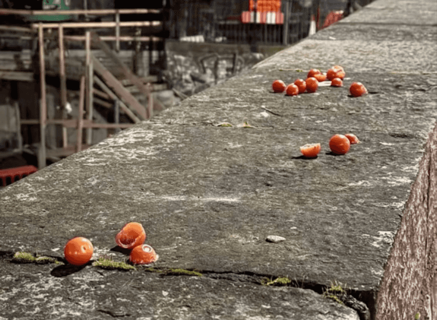 Why We’re So Obsessed with the Cherry Tomato Bridge