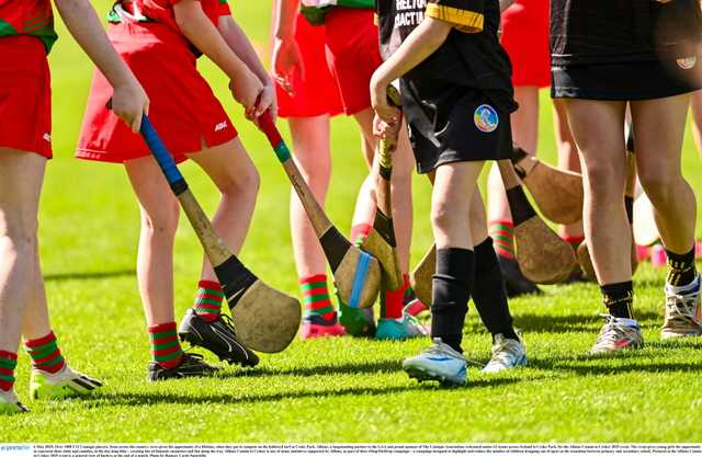 Should camogie players be allowed to wear shorts?
