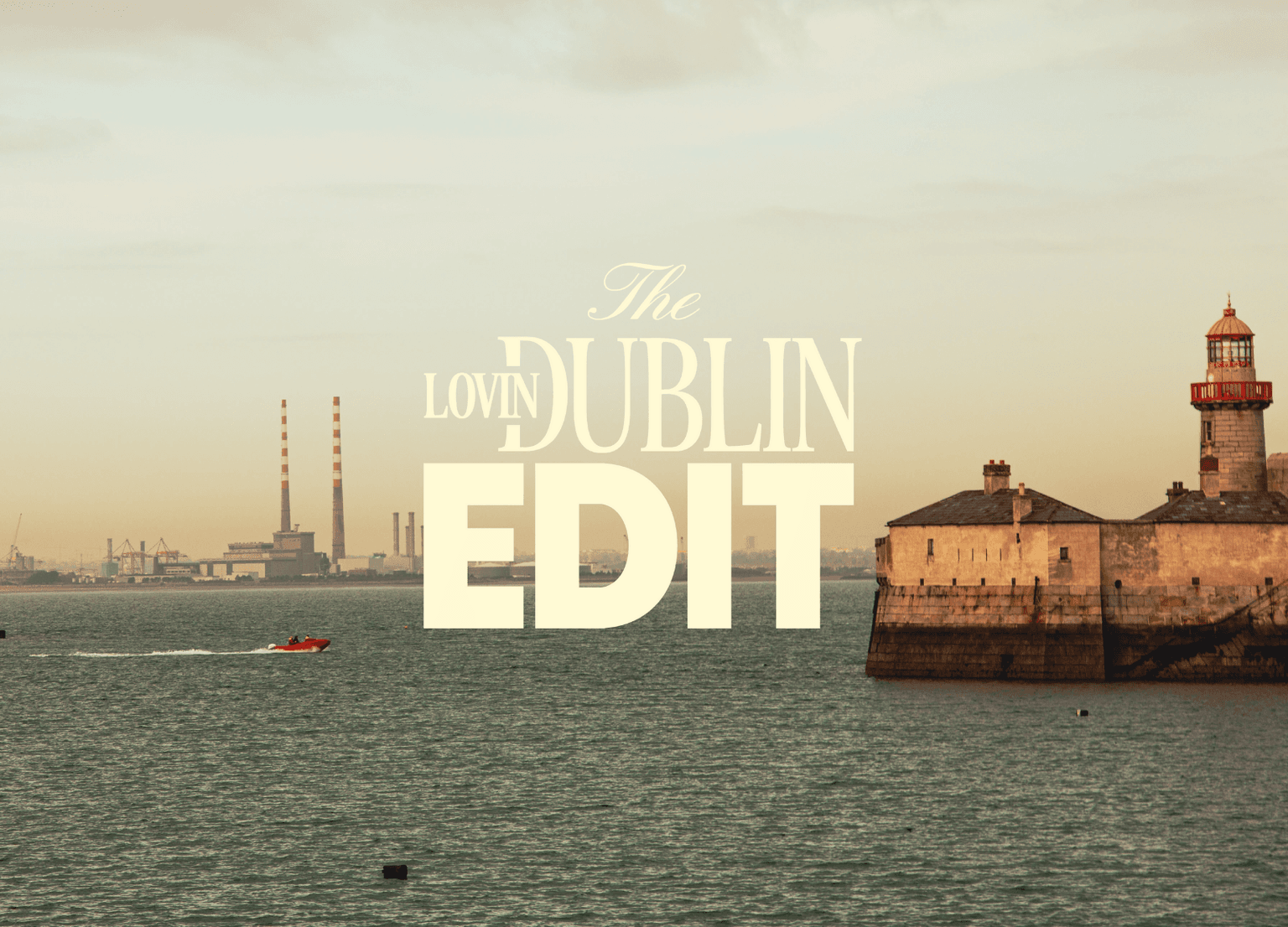 Newsletter background