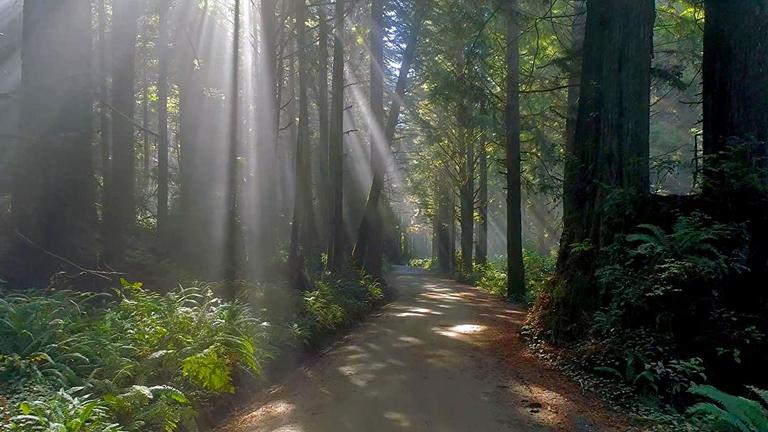 These are the seven best mental health documentaries you can watch right now