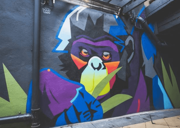 Bonobo announce temporary closure due to Covid-19 safety concerns