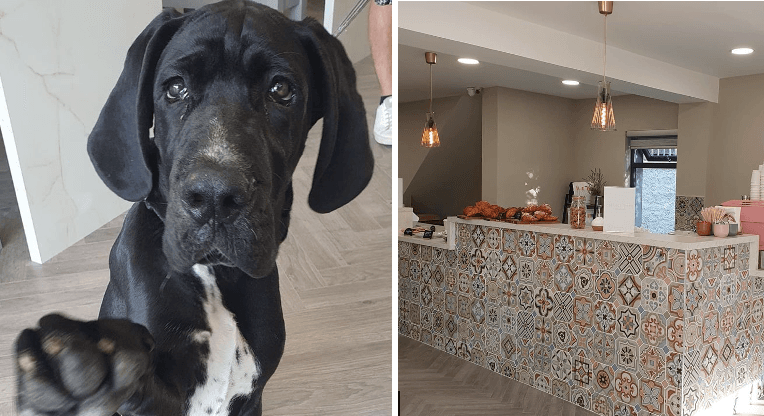 A new pup-friendly and Insta-worthy cafe has opened in Clonskeagh!