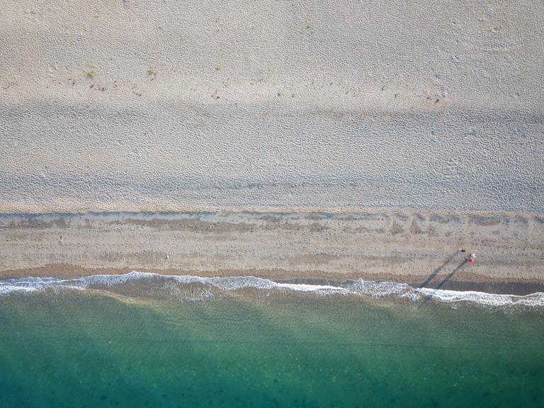 There’s a December Dip for the DSPCA this Sunday!