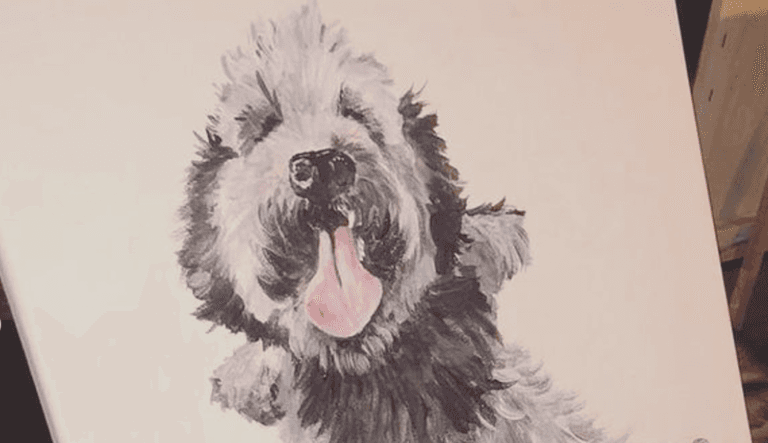 The Doghouse Howth to host Paint Your Pet event