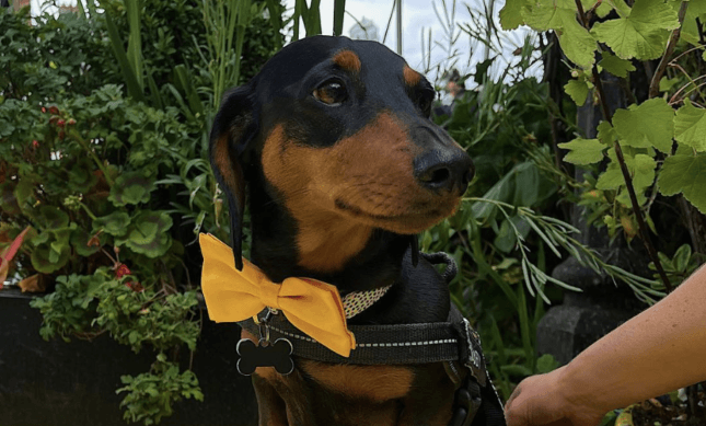 What to do in Dublin this weekend if you’re not at Electric Picnic