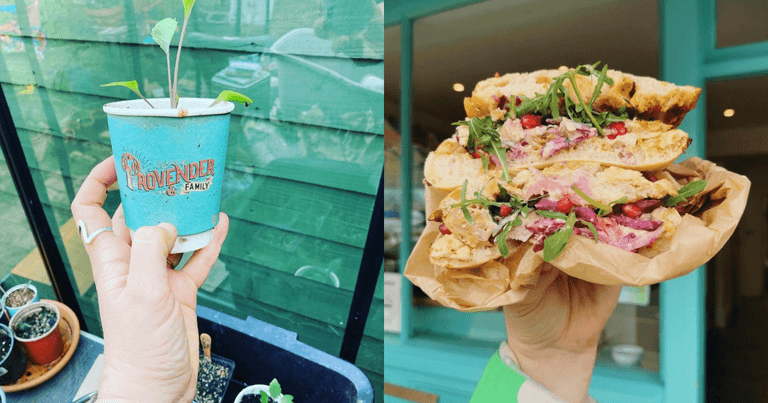 Stoneybatter café gets candid about price hikes following backlash