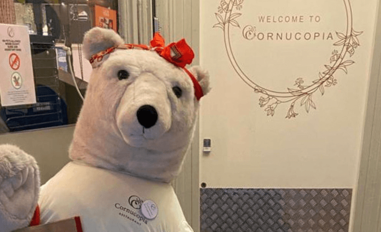 ‘No questions asked’ Cornucopia offer reward for stolen Christmas bear’s safe return