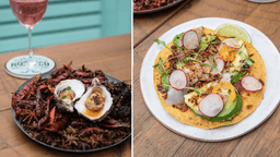 Love Mexican food? Don’t miss this unique dining and cocktail experience Love Mexican food? Don’t miss this unique dining and cocktail experience