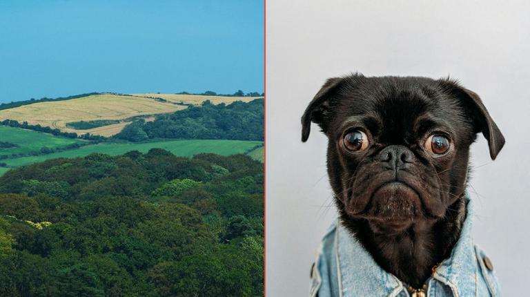 Ye what? Tourists find these 5 Irish towns the hardest to pronounce