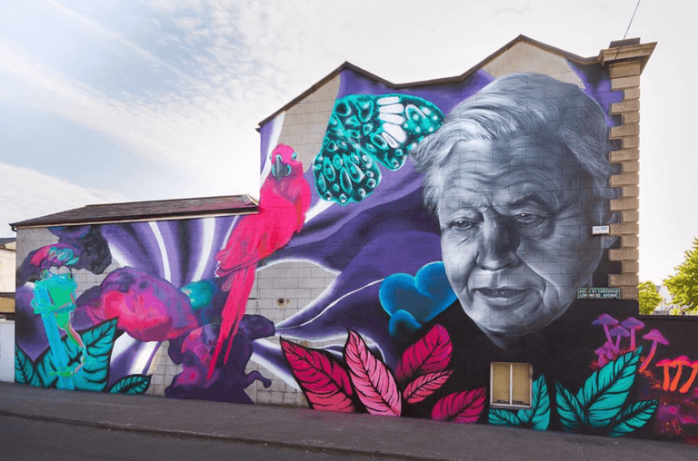 Devastation As Dublin City Council Orders Removal Of Subset’s David Attenborough Mural Devastation As Dublin City Council Orders Removal Of Subset’s David Attenborough Mural