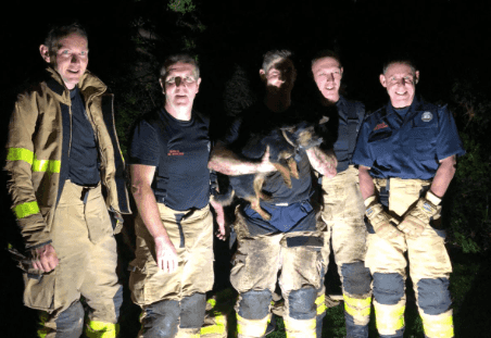 Coco the dog rescued from rabbit hole overnight by Dublin Fire Brigade Coco the dog rescued from rabbit hole overnight by Dublin Fire Brigade