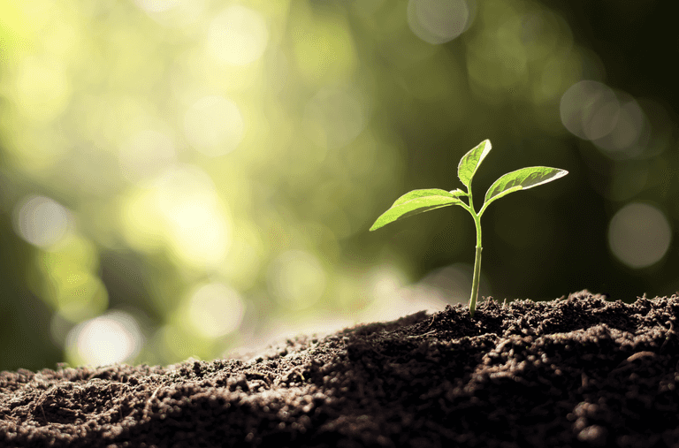 This sustainable living event will help you be more eco-friendly this year This sustainable living event will help you be more eco-friendly this year