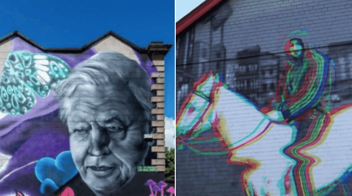Dublin City Council is taking legal action over the David Attenborough and Horseboy murals Dublin City Council is taking legal action over the David Attenborough and Horseboy murals