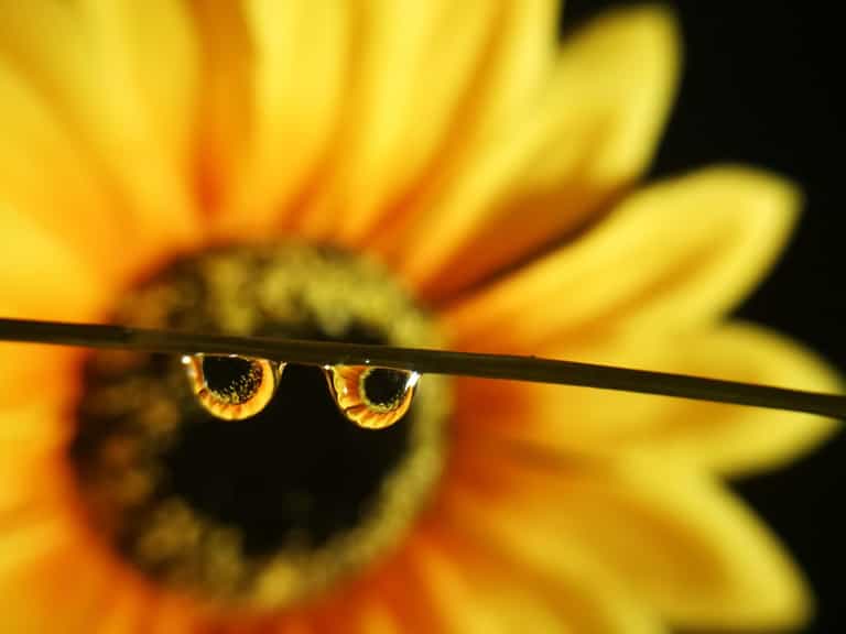 Huawei want your inspirational photos for their stunning competition Huawei want your inspirational photos for their stunning competition