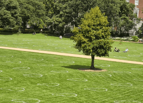 ‘Social distance hearts’ have now appeared in Merrion Square ‘Social distance hearts’ have now appeared in Merrion Square