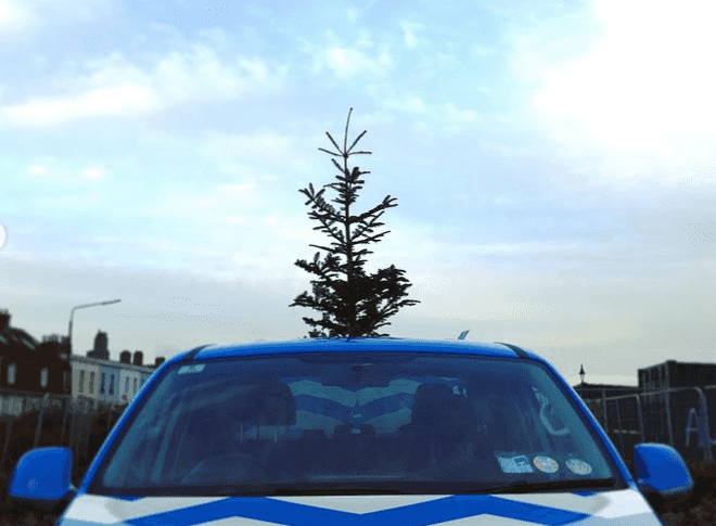 Dublin restaurant in lovely gesture for older people looking to dispose of their Christmas trees Dublin restaurant in lovely gesture for older people looking to dispose of their Christmas trees