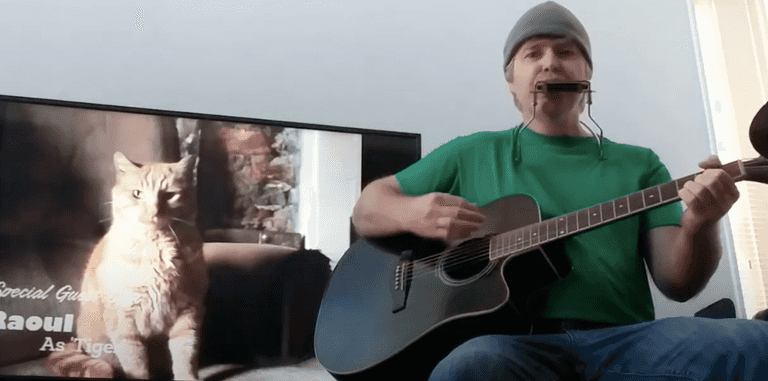 WATCH: Musical tribute to The Harbour Bar’s beloved cat, all the way from California WATCH: Musical tribute to The Harbour Bar’s beloved cat, all the way from California