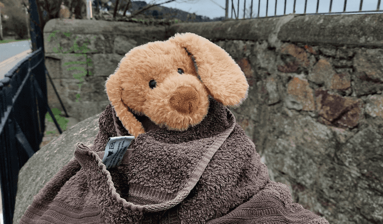 A toy dog left at a Dublin DART station is looking to be reunited with its owner A toy dog left at a Dublin DART station is looking to be reunited with its owner