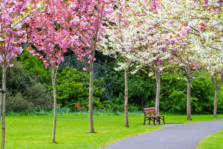 Dubliners asked to provide input on the future of the city’s parks Dubliners asked to provide input on the future of the city’s parks