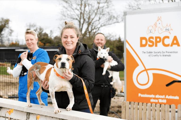 New six-part series following the DSPCA begins next week New six-part series following the DSPCA begins next week