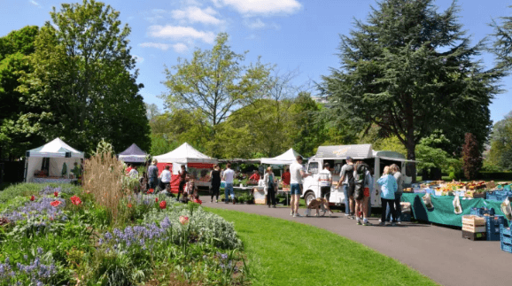 DCC announces reopening of markets this weekend as temperatures set to hit 20 degrees DCC announces reopening of markets this weekend as temperatures set to hit 20 degrees