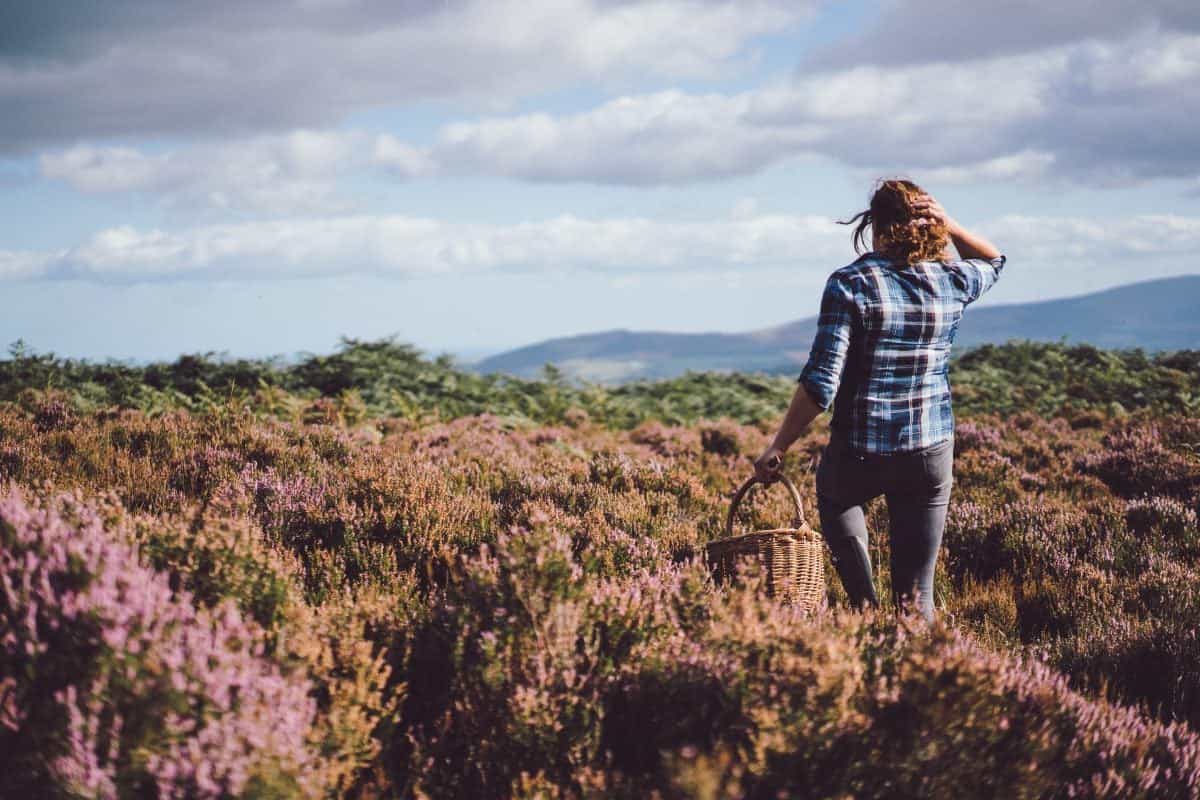 WIN: A wild Wicklow gin experience and luxury stay in BrookLodge hotel for two