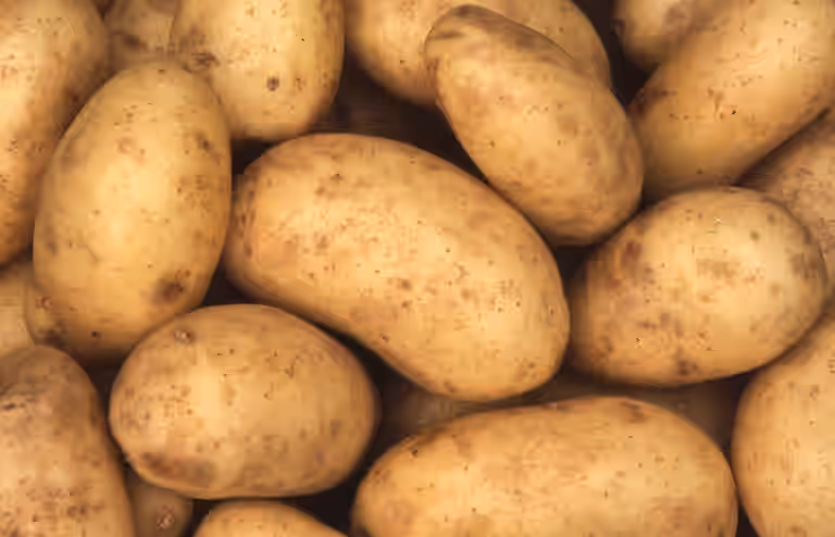“Potato I Have”: Why Are We So Obsessed with Potatoes “Potato I Have”: Why Are We So Obsessed with Potatoes