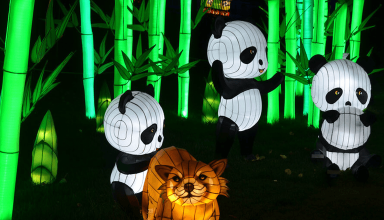 7 ways to celebrate Chinese New Year in Dublin 7 ways to celebrate Chinese New Year in Dublin