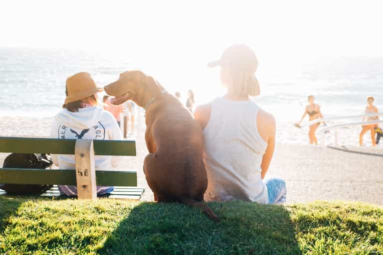 Arrival of ‘Azores high’ heralds hotter temperatures than parts of Spain this weekend Arrival of ‘Azores high’ heralds hotter temperatures than parts of Spain this weekend