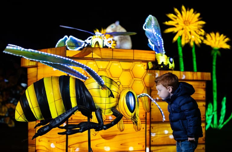 Wild Lights is returning to Dublin Zoo with a brand new theme for winter 2022 Wild Lights is returning to Dublin Zoo with a brand new theme for winter 2022